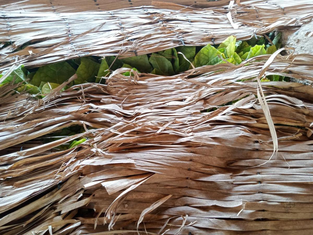 Tonle Mekong Séjour chez l'habitant Krong Kracheh